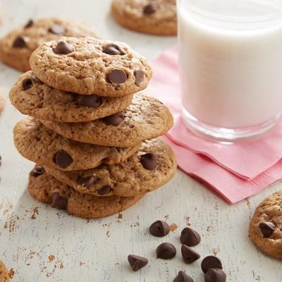 gemakkelijke veganistische chocoladekoekjes