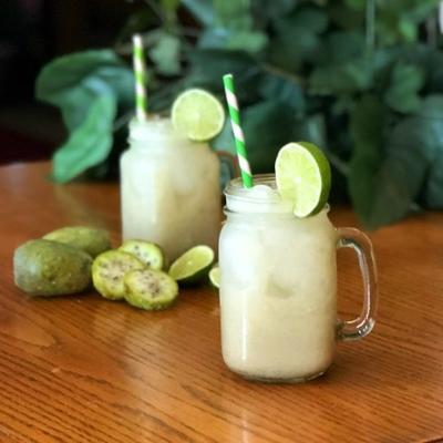 cactusvijg limeade