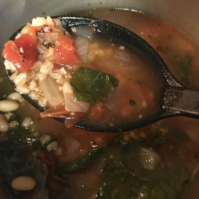 rustieke Italiaanse soep met farro