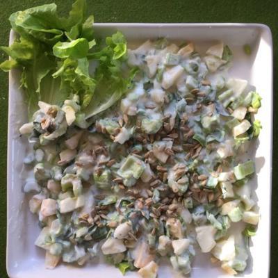 appel-selderijsalade met yoghurtdressing