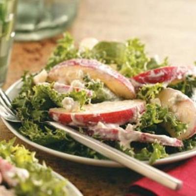 gekruide witloof, appel en gorgonzola salade