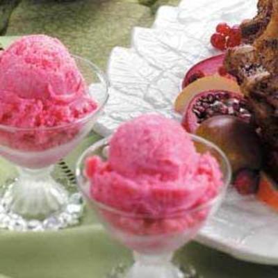 sadie's cranberry sorbet