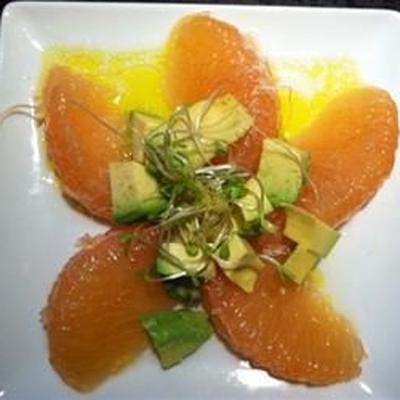 lisa's grapefruit en avocado salade