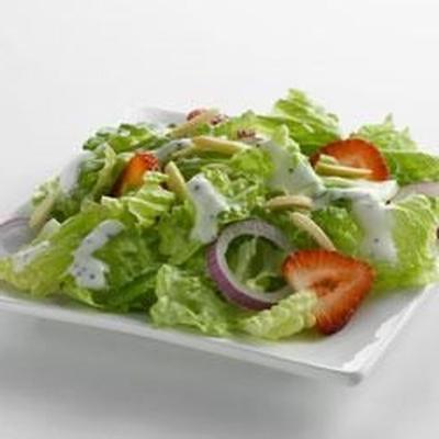 aardbei romaine salade en romige maanzaad dressing met truvia® natuurlijke zoetstof