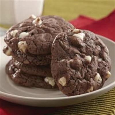 dubbele fudge brownie koekjes