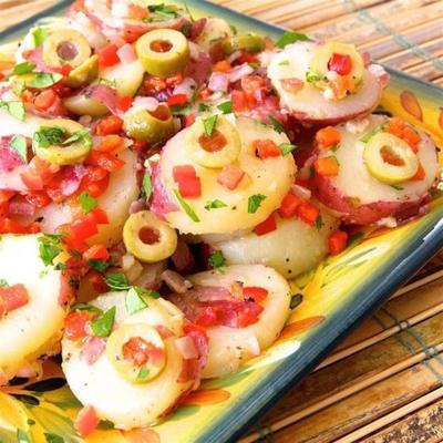 smakelijke Spaanse aardappelsalade