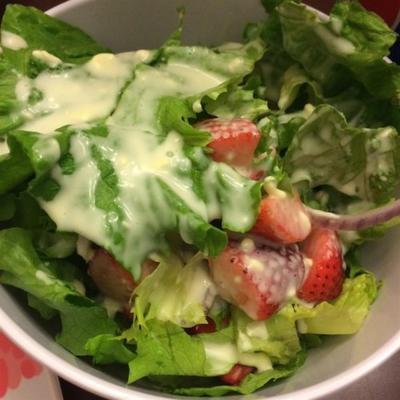 chelsey's aardbeien salade met maanzaad dressing