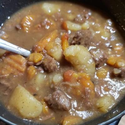 instant pot® stoofpot met behulp van bevroren vlees