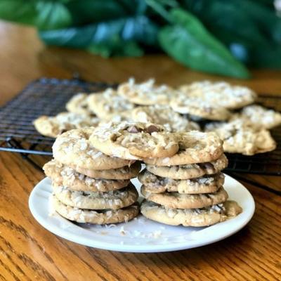 chocolade marshmallow smelt cookies