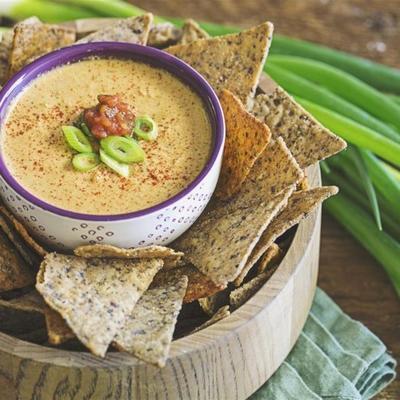 zuivel gratis queso dip in chili