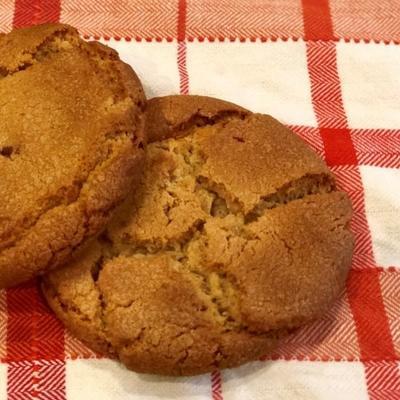 eenvoudige glutenvrije koekjes van snickerdoodle