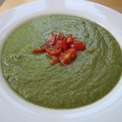 gemakkelijke groene gazpacho