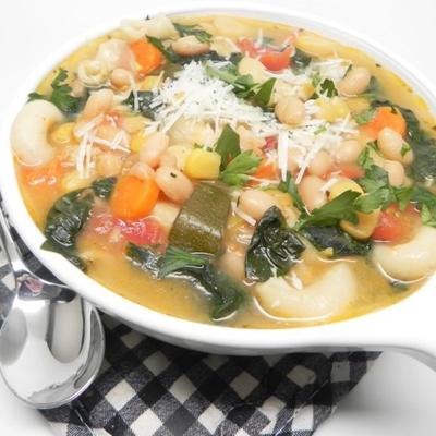 instant pot® minestrone