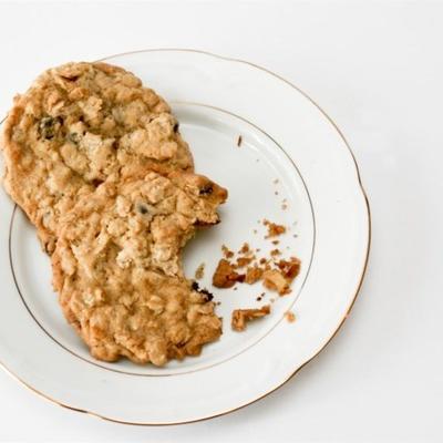 Mevr. velden cookie recept ii
