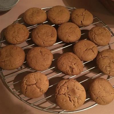 ginger snap cookies