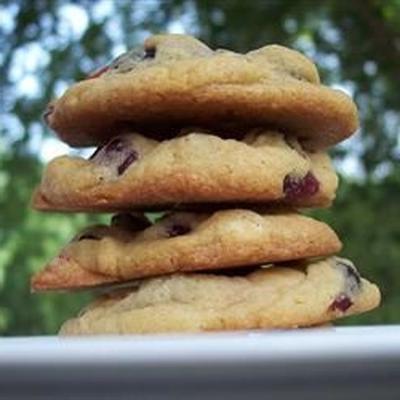 witte chocolade en cranberry-koekjes