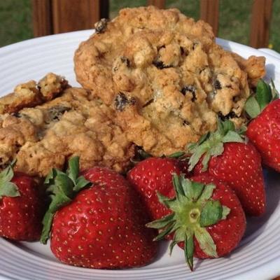 havermout-walnoot-raisin-kauwproducten