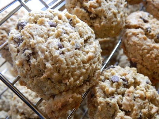 havermout chocolate-chip lactatie koekjes door noel trujillo