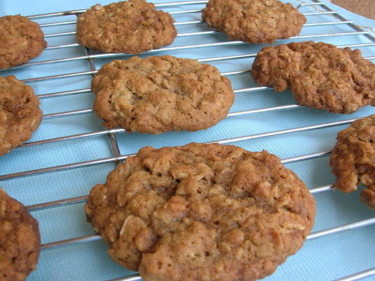 van havermout rozijnenkoekjes verdwijnen