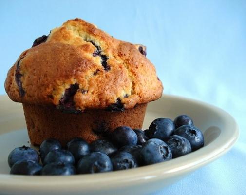 bosbessen karnemelkmuffins