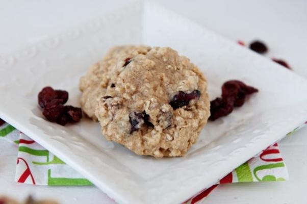 chewy cranberry havermout koekjes