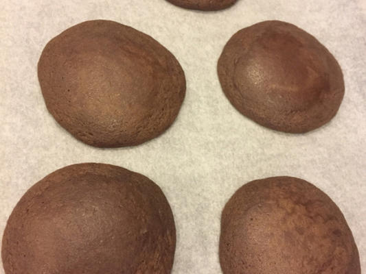 cacaopoeder koekjes.