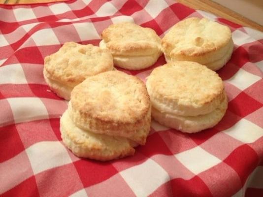 glutenvrije karnemelkkoekjes