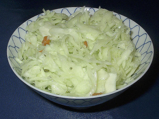 mijn eigen coleslaw dressing