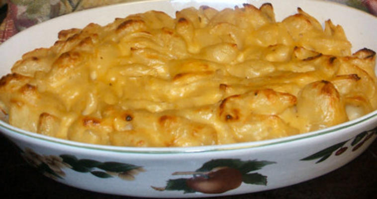 prachtige macaroni en kaas