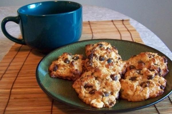 veganistische chocolade chip havermout noot cookies