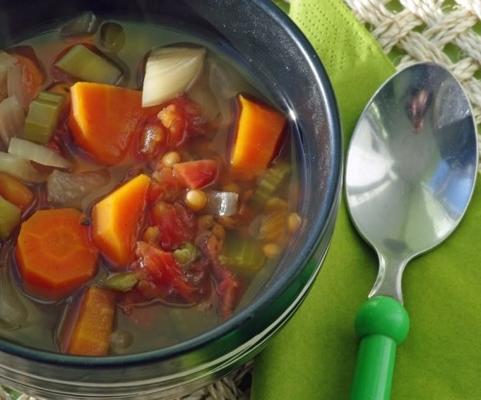 lentil-veggie soep (crock pot)