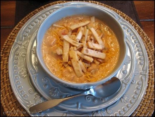 max en erma's chicken tortilla soup - de originele kloon van sue