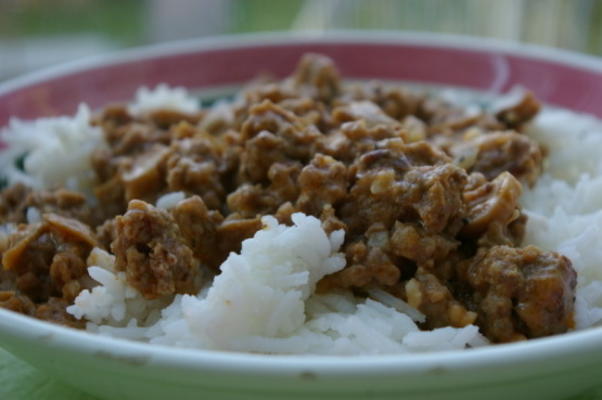 gemalen rundvlees stroganoff