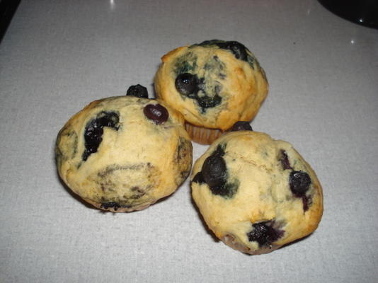 bosbessenroom muffins