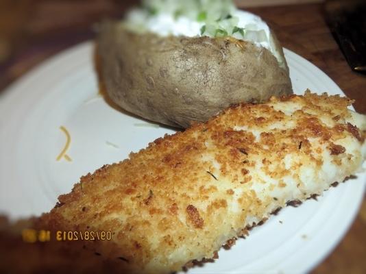 zwartgeblakerde tilapia