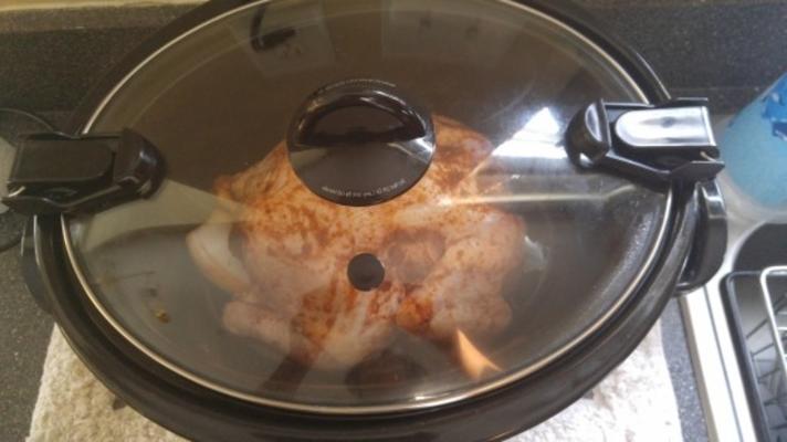 crock pot rotisserie kip