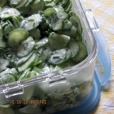 scandinavische komkommer salade recept