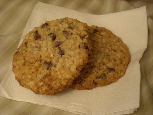 geroosterde kokosnoot chocoladeschilferkoekjes