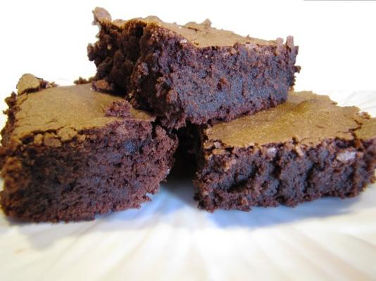 intens diepe donkere chocolade brownies