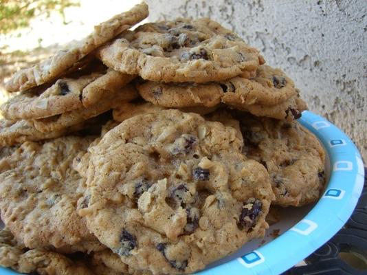 kokosnoot havermout rozijnenkoekjes