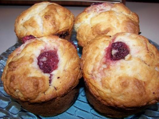 shirley's gewone of bosbessenmuffins