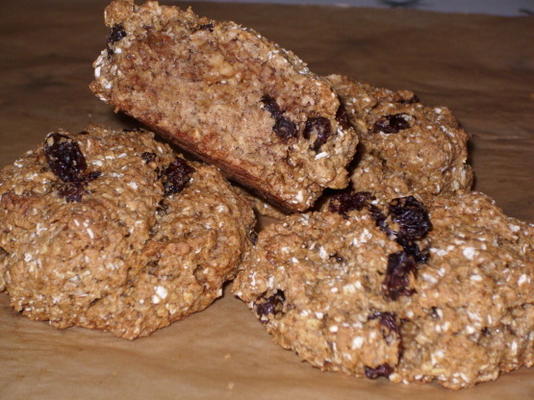 reusachtige koekjes van de havermeeldrop