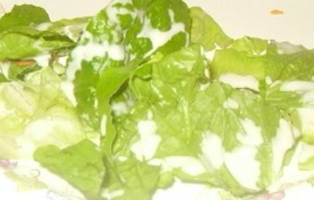 saladedressing voor tienerjongens (en hun gezinnen)