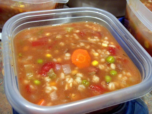 rundvlees gerst veggy soep - crock pot