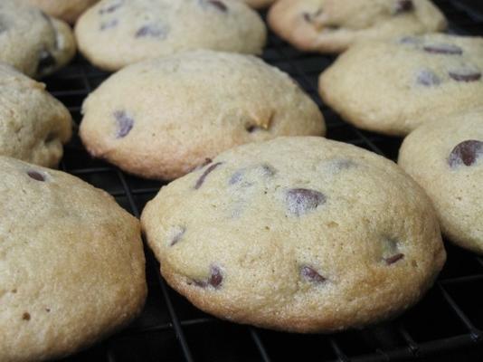 alton brown - chewy gluten free chocolate chip cookies