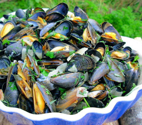 Hallo daar! moules mariniandegrave; res - mosselen van Franse zeeman