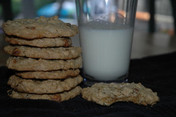 havermout-pindakaas koekjes