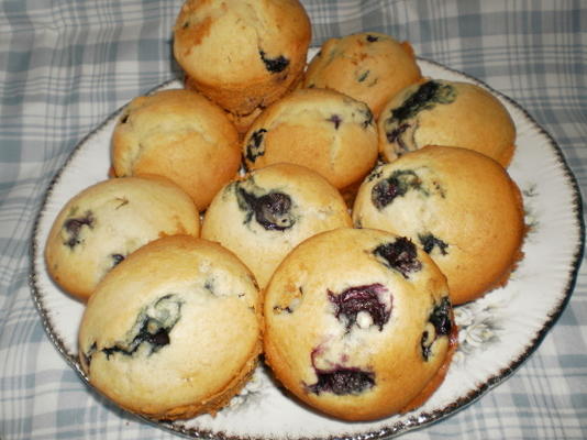 bosbessenmuffins (met splenda)