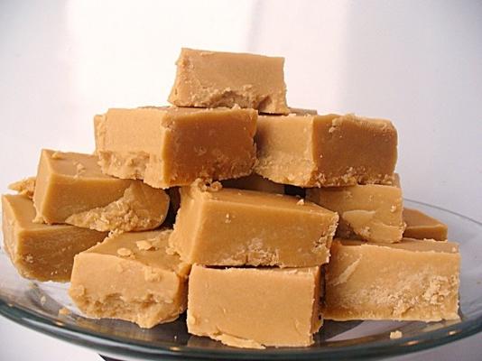 Zuid-Afrikaanse nestle's fudge