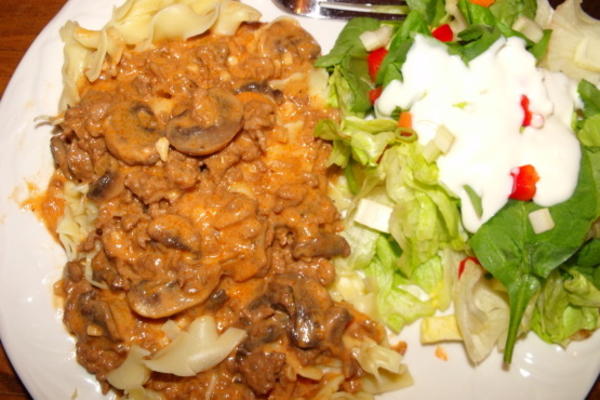 gewicht watchers beef stroganoff